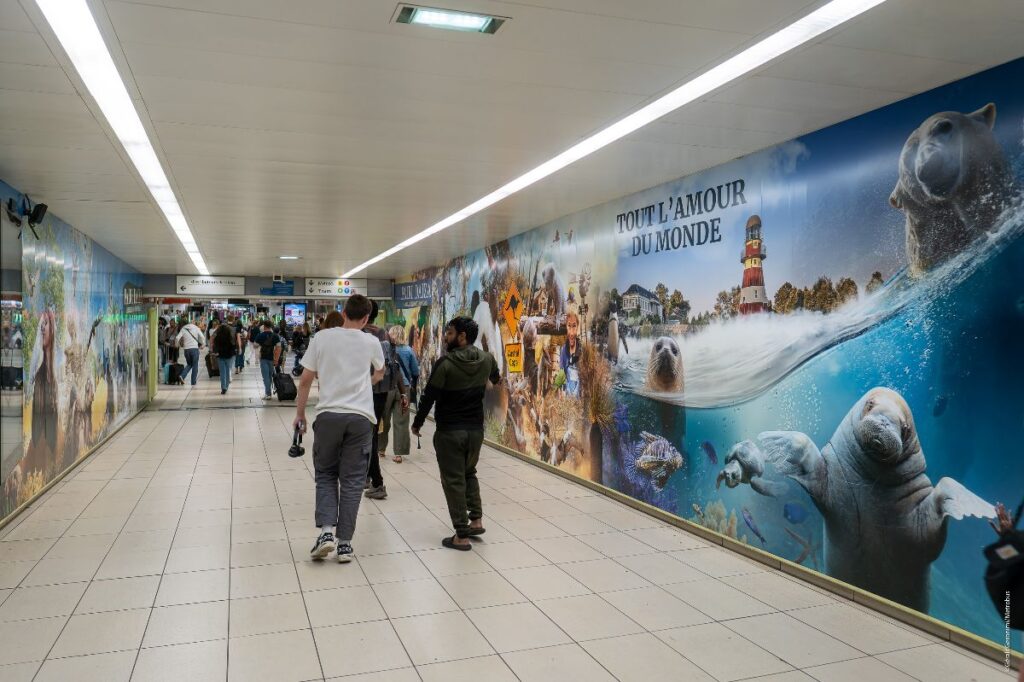 Publicité Pairi Daiza metro event Lille 3